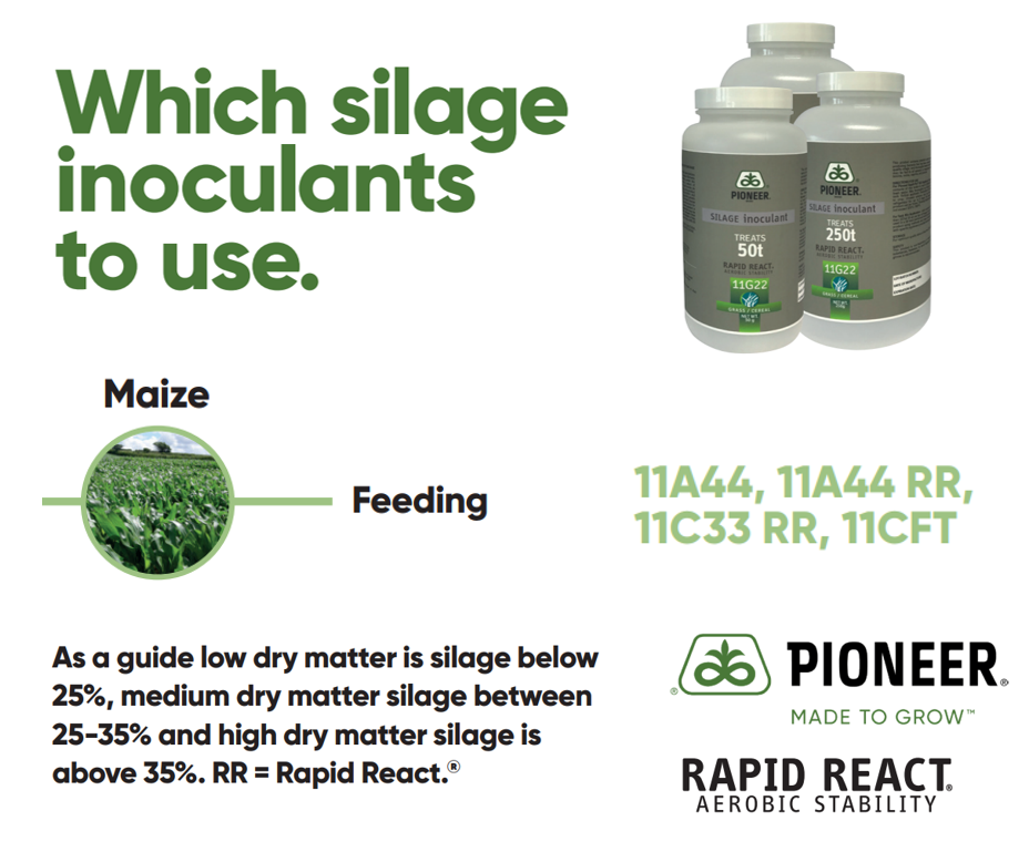 Silage inoculants decision tree - maize