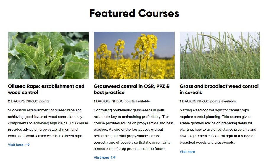 Featured courses