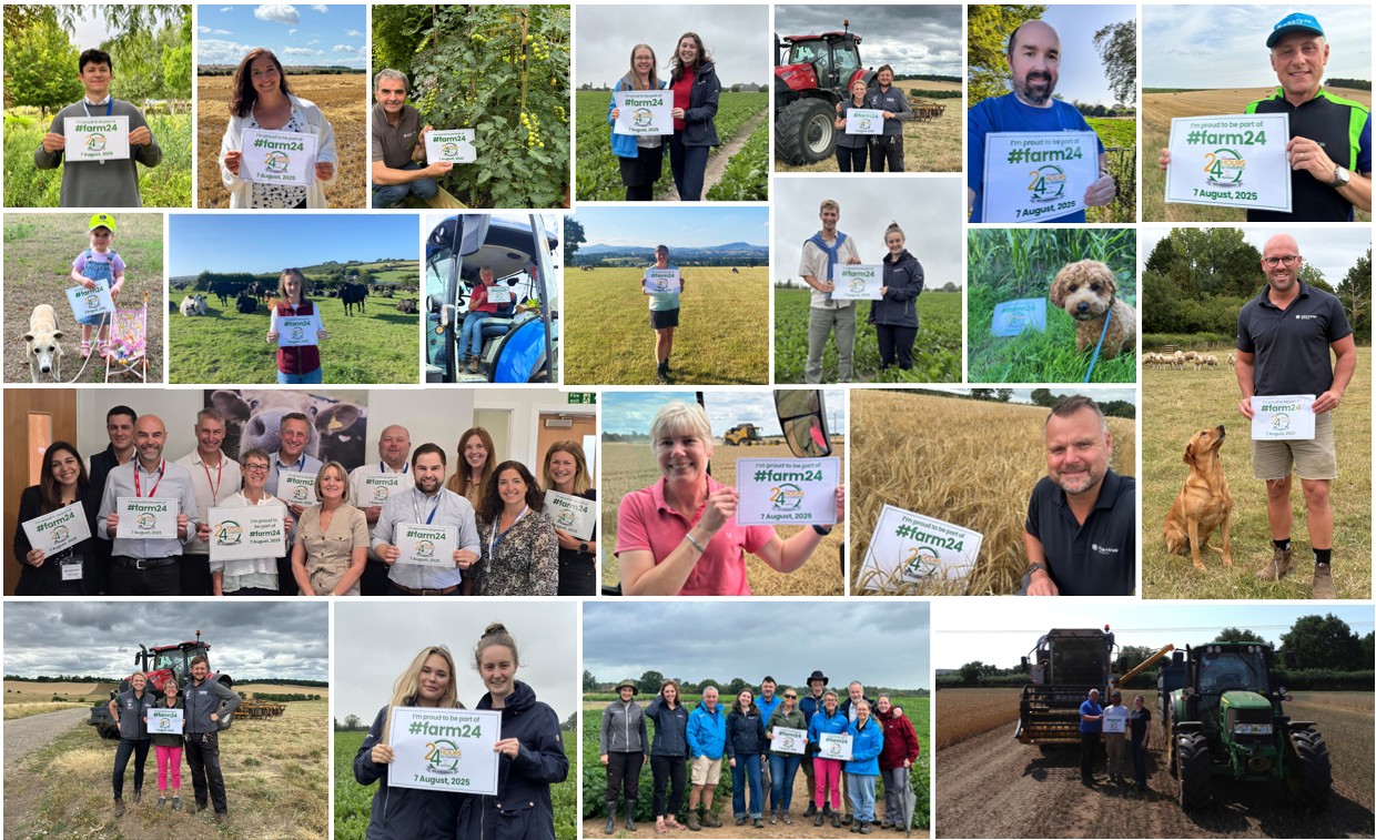 Farm 24 photo collage