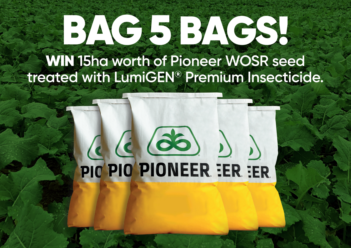 Bag 5 Bags!