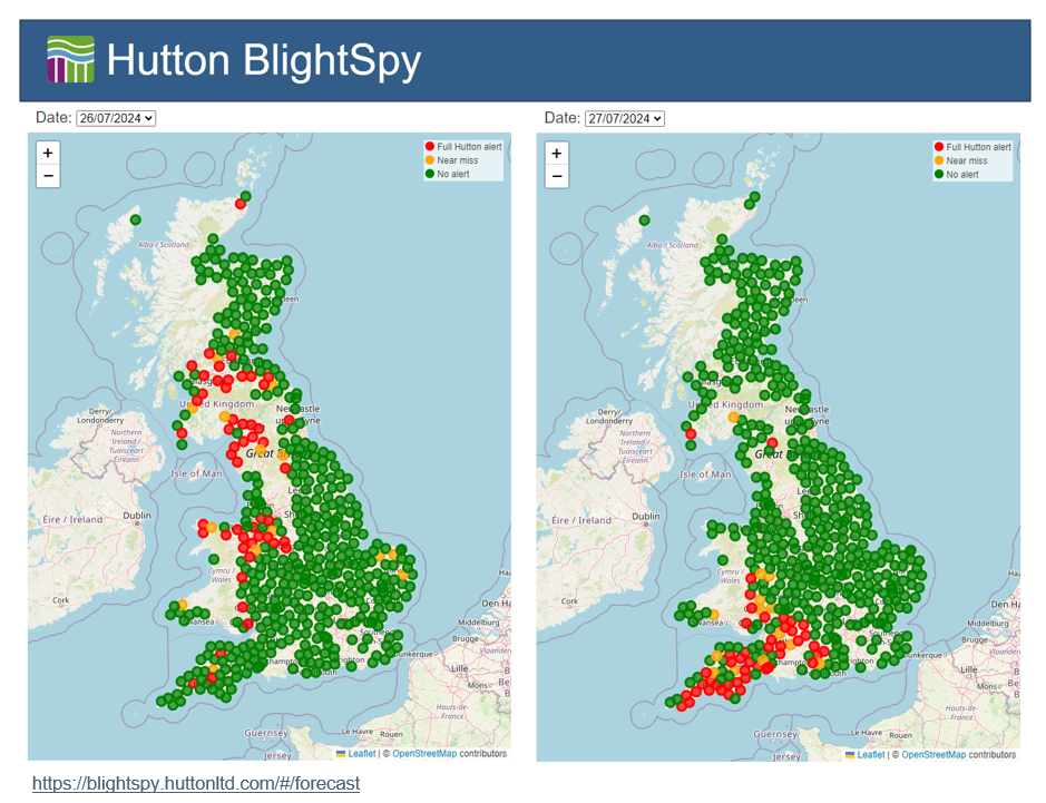 Image of BlightSpy Forecast