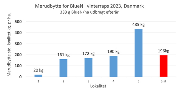 Merudbytte for Blue i vinterraps 2023 Danmark