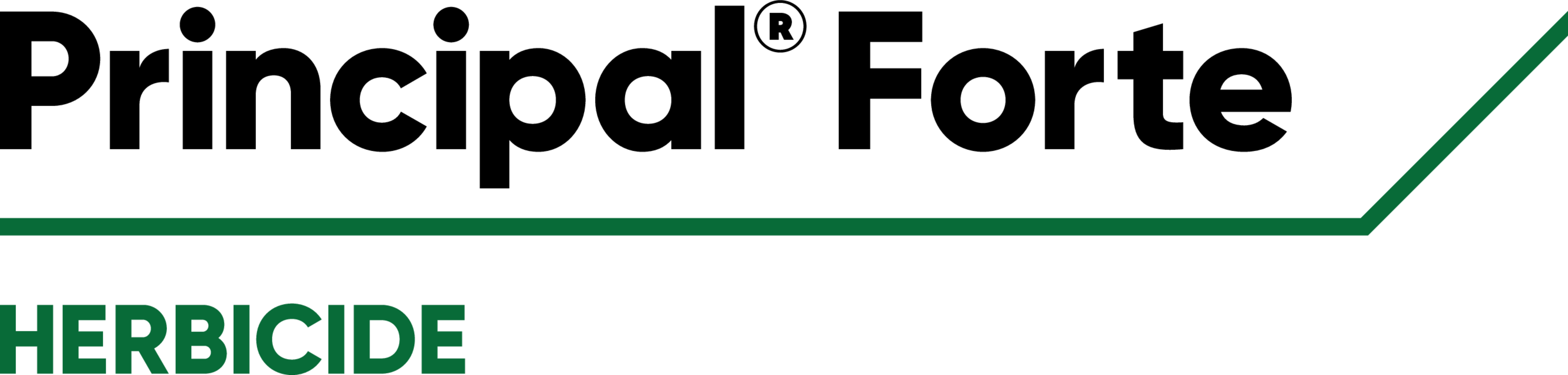 Principal Forte