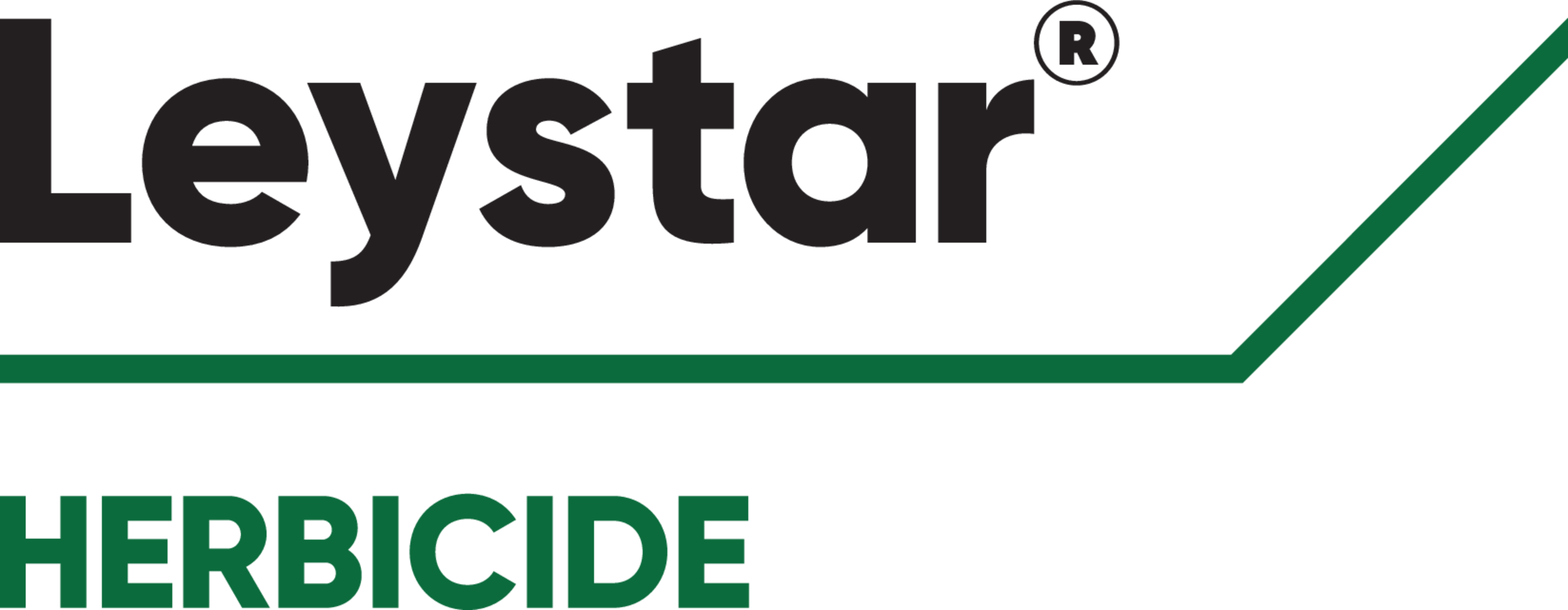 Leystar logo