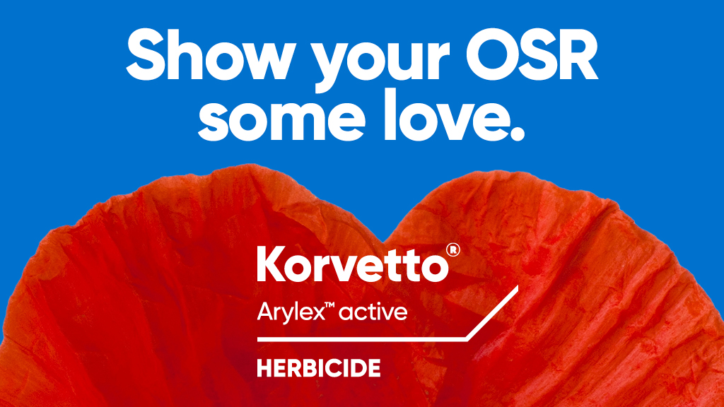 Show your OSR some love. Spring clean weeds with Korvetto