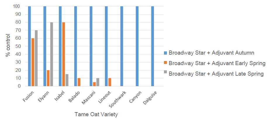 Tame oat graph