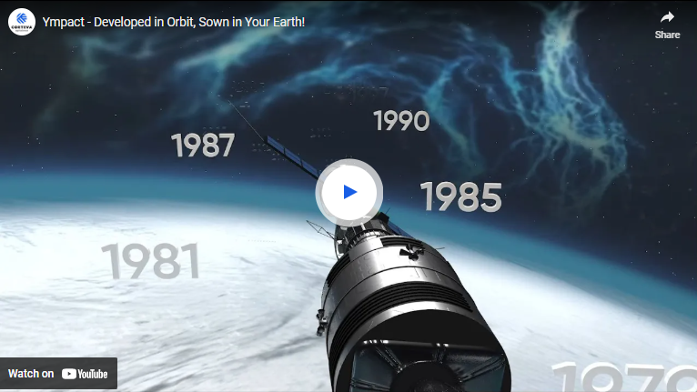 Ympact video