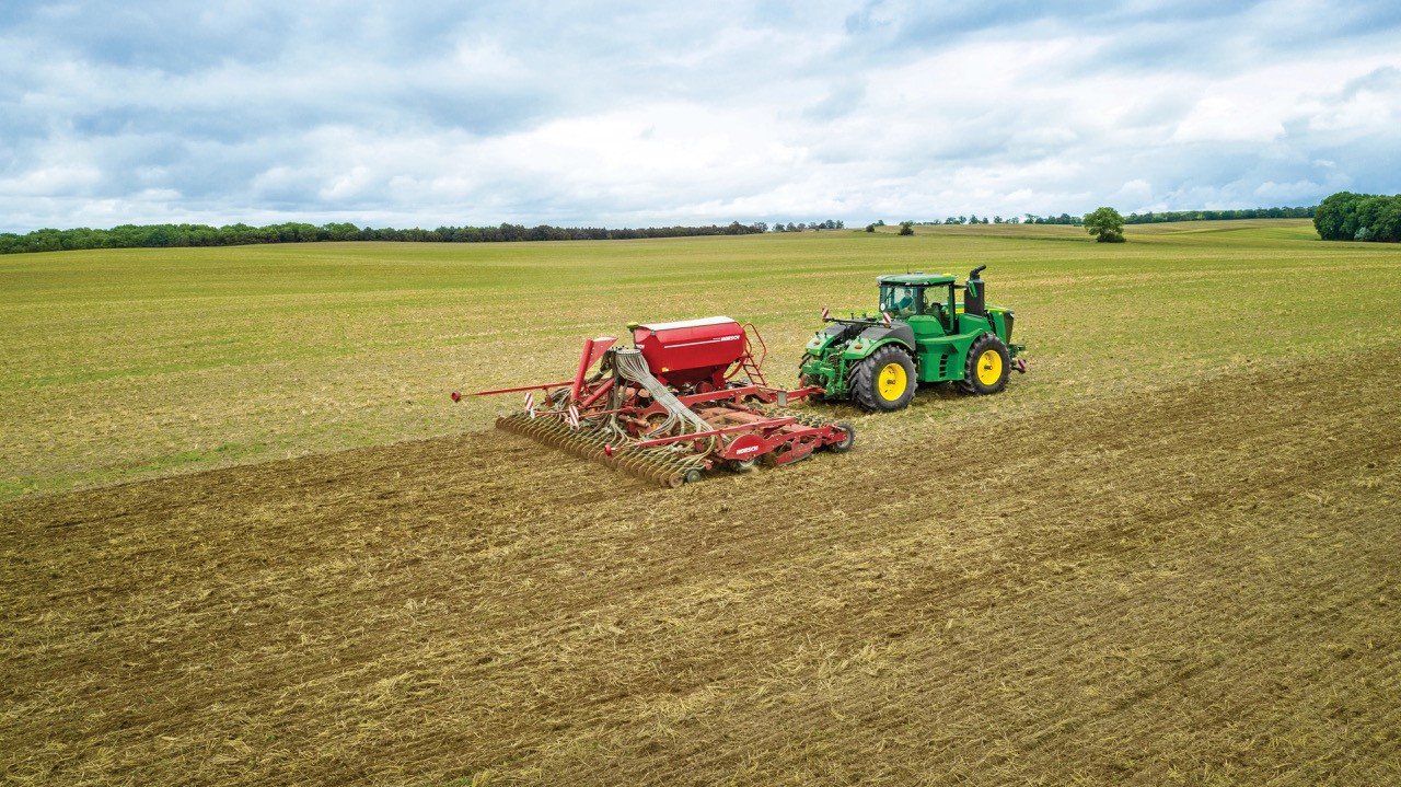 Oilseed rape field image