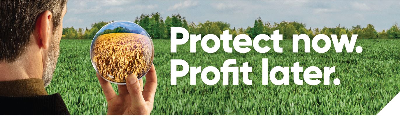Protect now. Profit later.