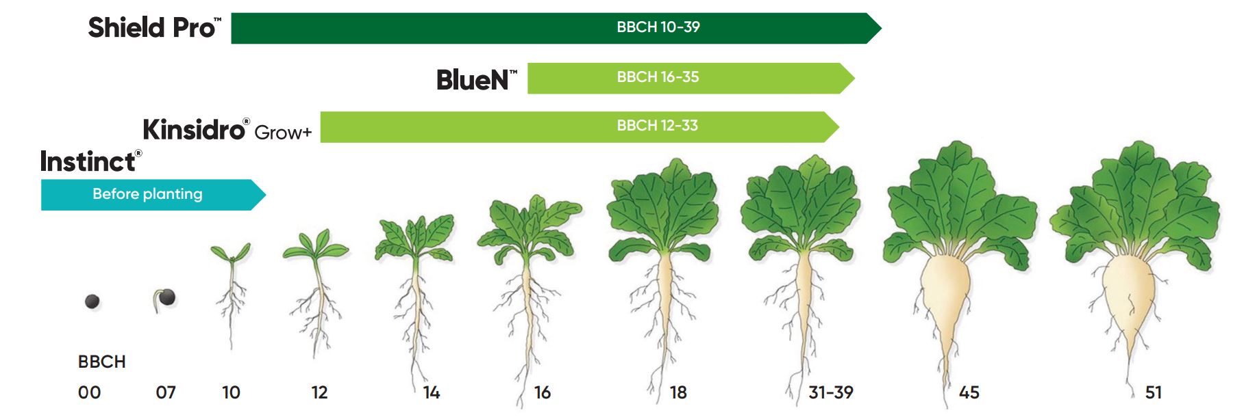 Sugar beet product data