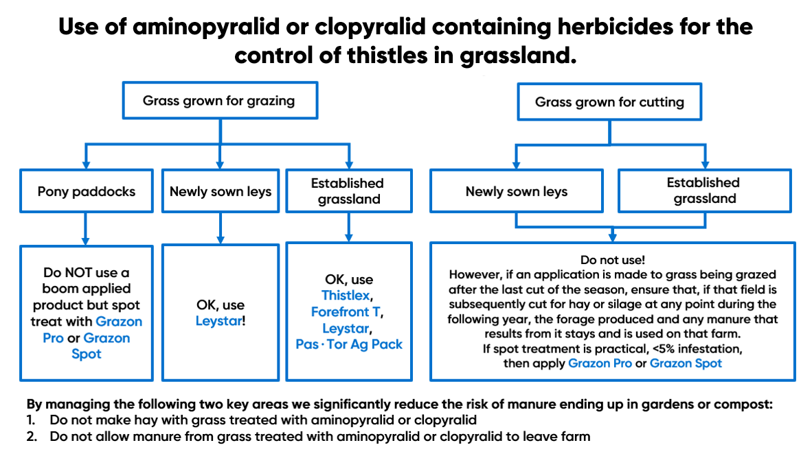 thistle flowchart