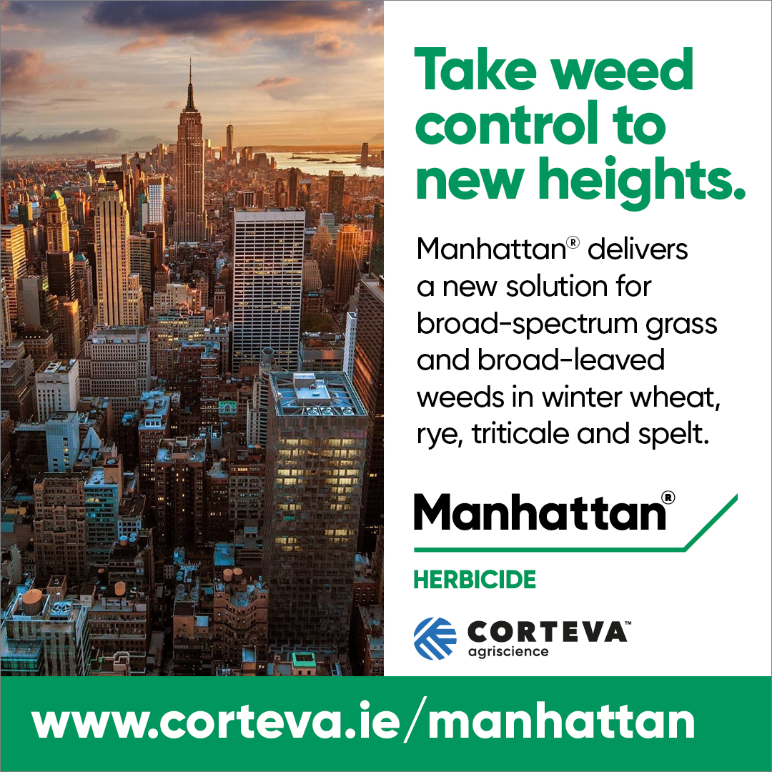New Manhattan