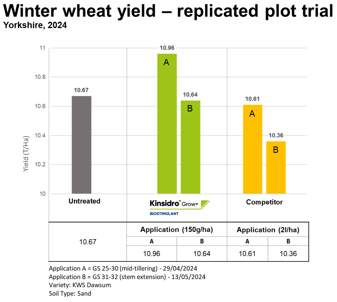 Kinsidro replicated plot trial