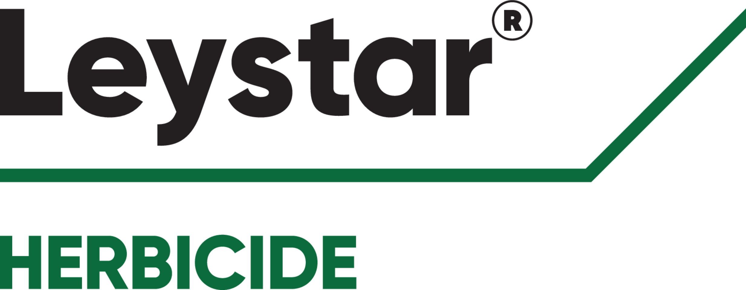 Leystar logo