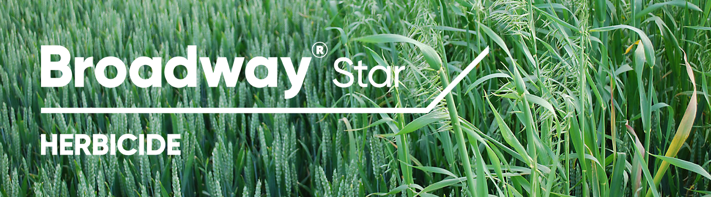 grass weeds and black grass