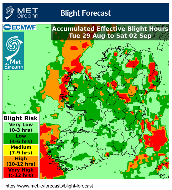 Blight forecast