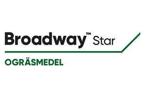 Broadway Star Logo
