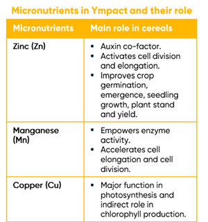 Ympact micronutrients