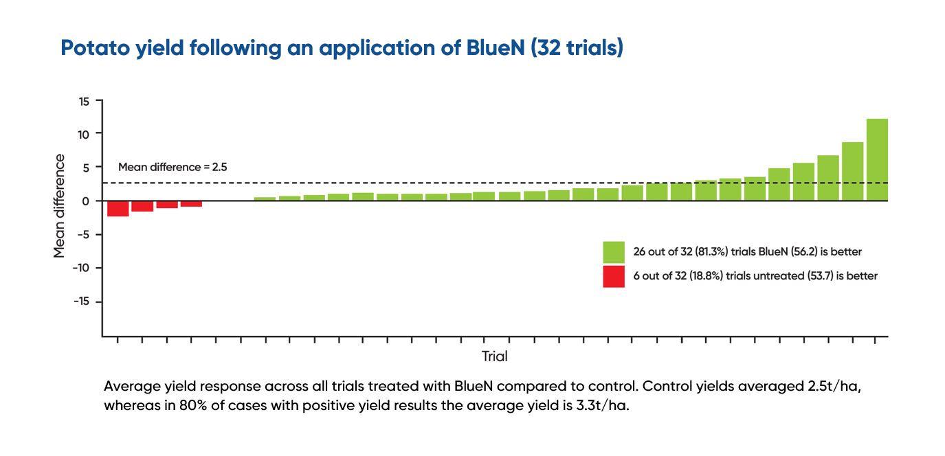 Potato Yield following an application of BlueN