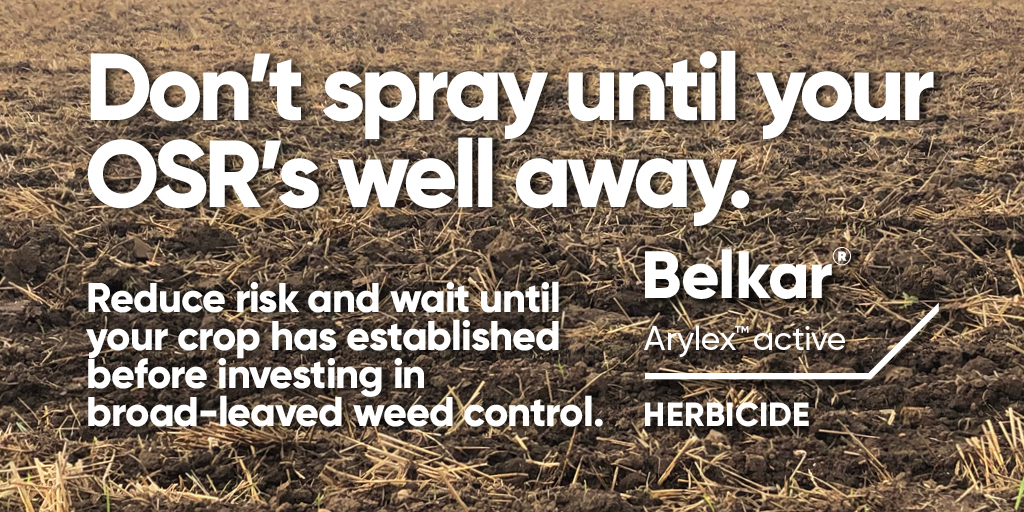 Don't spray until your OSR's well away