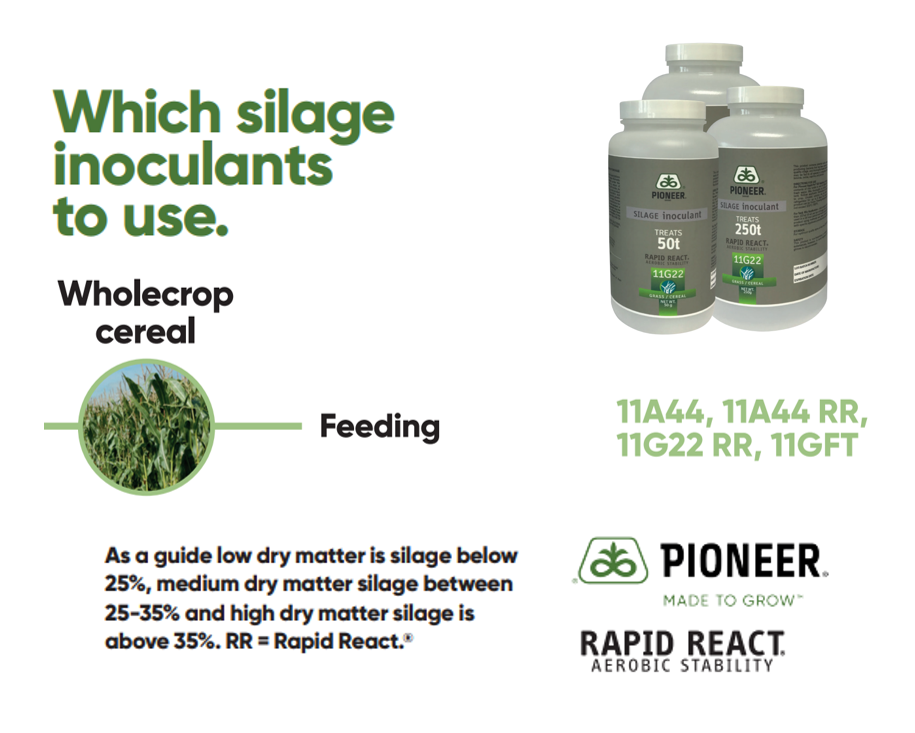 Silage inoculant decision tree - Wholecrop cereal