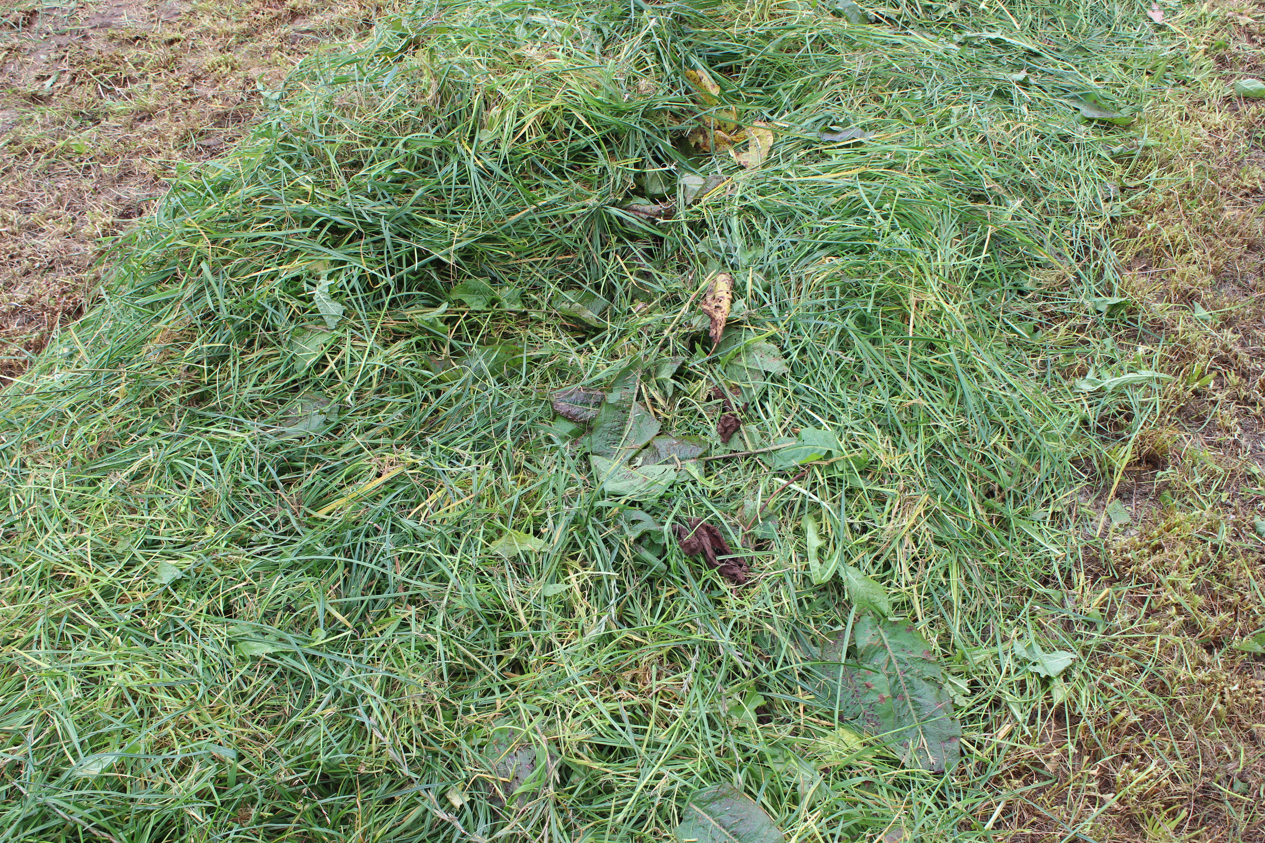 Silage
