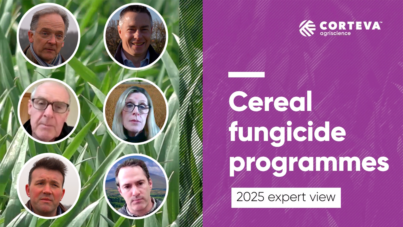 Cereal fungicide programmes 