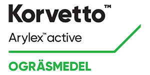 Korvetto