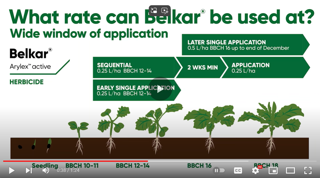 Video of Belkar Herbicide and weed control