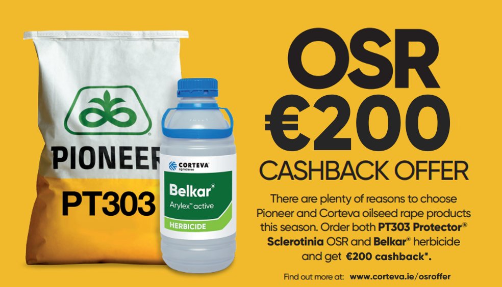 OSR 200 Euro Offer