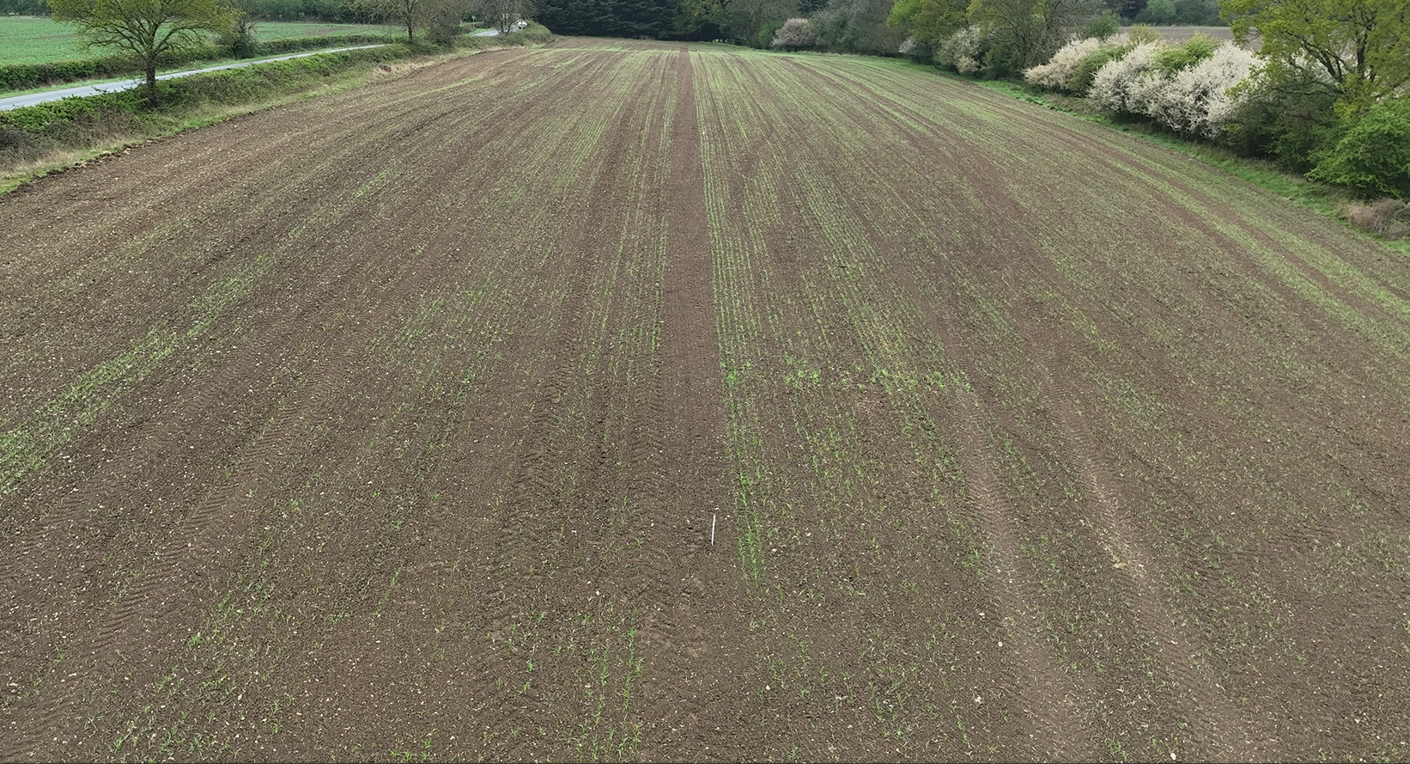 Field photo of trial near Epping