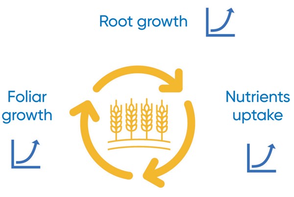 Ympact benefits
