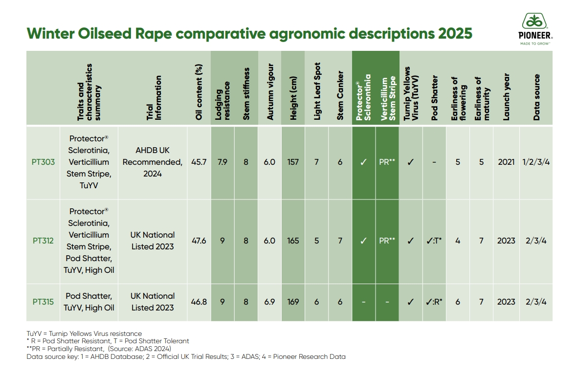 WOSR hybrid varieties