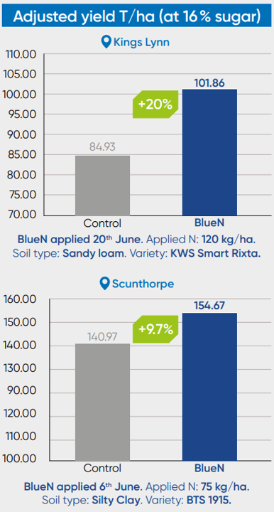 BlueN data 2025