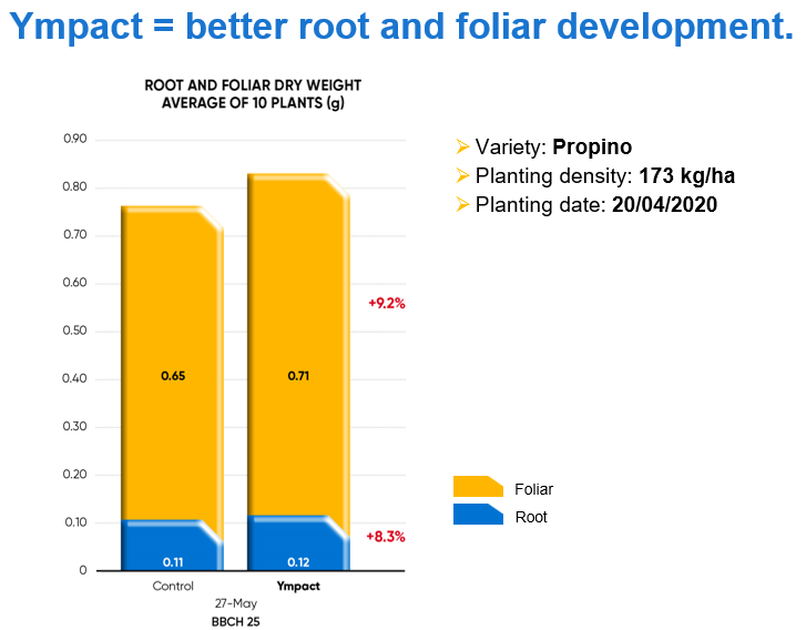 Ympact graph