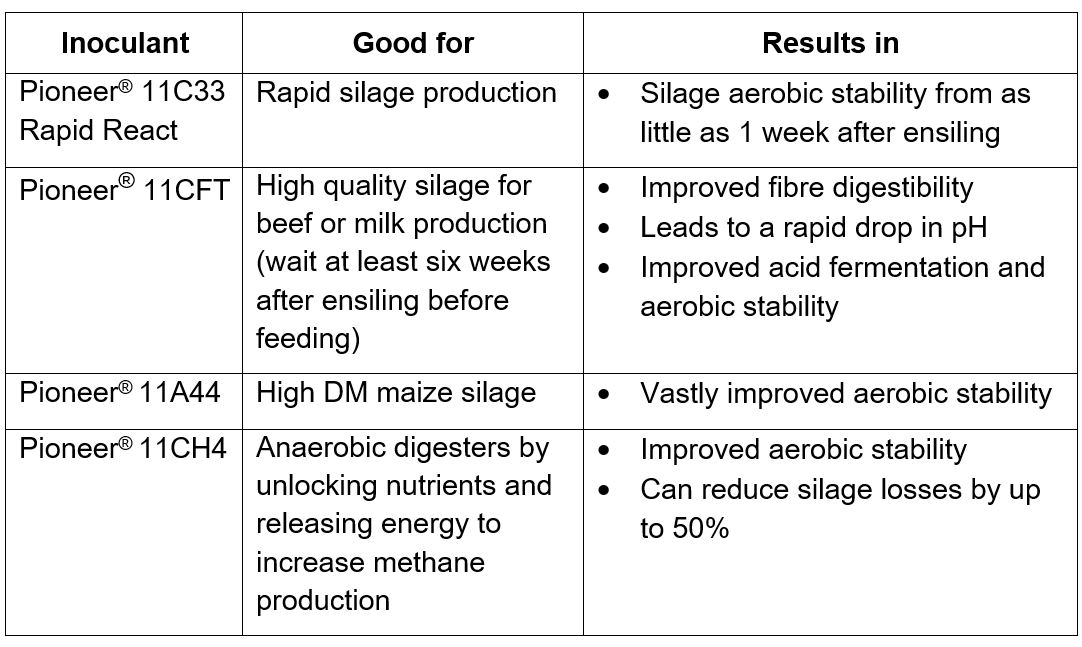 Inoculant decision tree