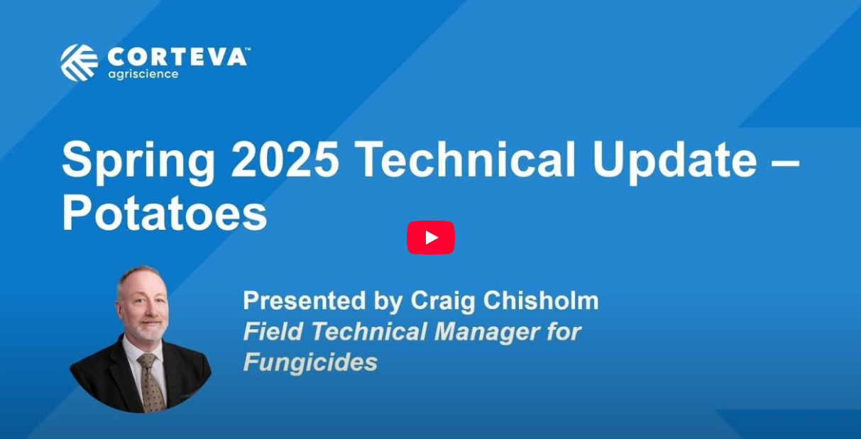 Spring 2025 Technical Update on Potatoes